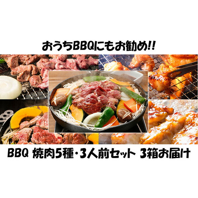 【ふるさと納税】ハッピー！BBQセット　～焼肉5種　3人前コース～　3箱セット　【定期便・お肉・牛肉・焼肉・バーベキュー・肉の加工品】