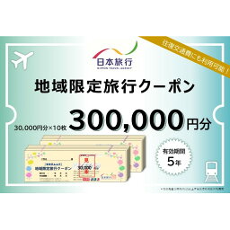 【ふるさと納税】日本旅行　地域限定旅行クーポン【300，000円分】　【旅行・チケット・旅行・宿泊券】