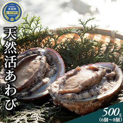 【ふるさと納税】先行予約 アワビ 天然 活あわび 500g 北海道 鮑 2023年10月から配送　お届け：2023年10月中旬〜12月中旬まで　【 あわび 貝 魚介 魚介類 海鮮 お刺身 ステーキ 高級食材 お取り寄せ グルメ 産地直送 酒の肴 】　お届け：2023年10月中旬〜12月中旬まで