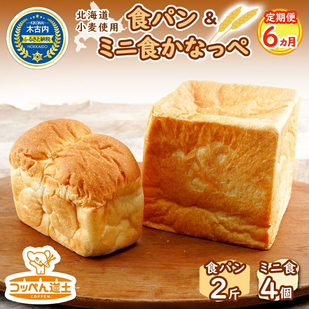 【ふるさと納税】定期便 6ヵ月 北海道 食パン 2斤 ミニ食