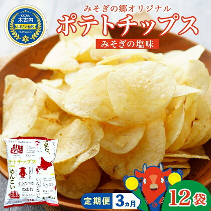 3カ月 定期便　道の駅 みそぎの郷きこない　オリジナル ポテトチップス　12入　【定期便・ お菓子 スイーツ じゃがいも 菓子 塩味 】