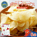 オリジナルポテトチップス(60g×6袋入り)　