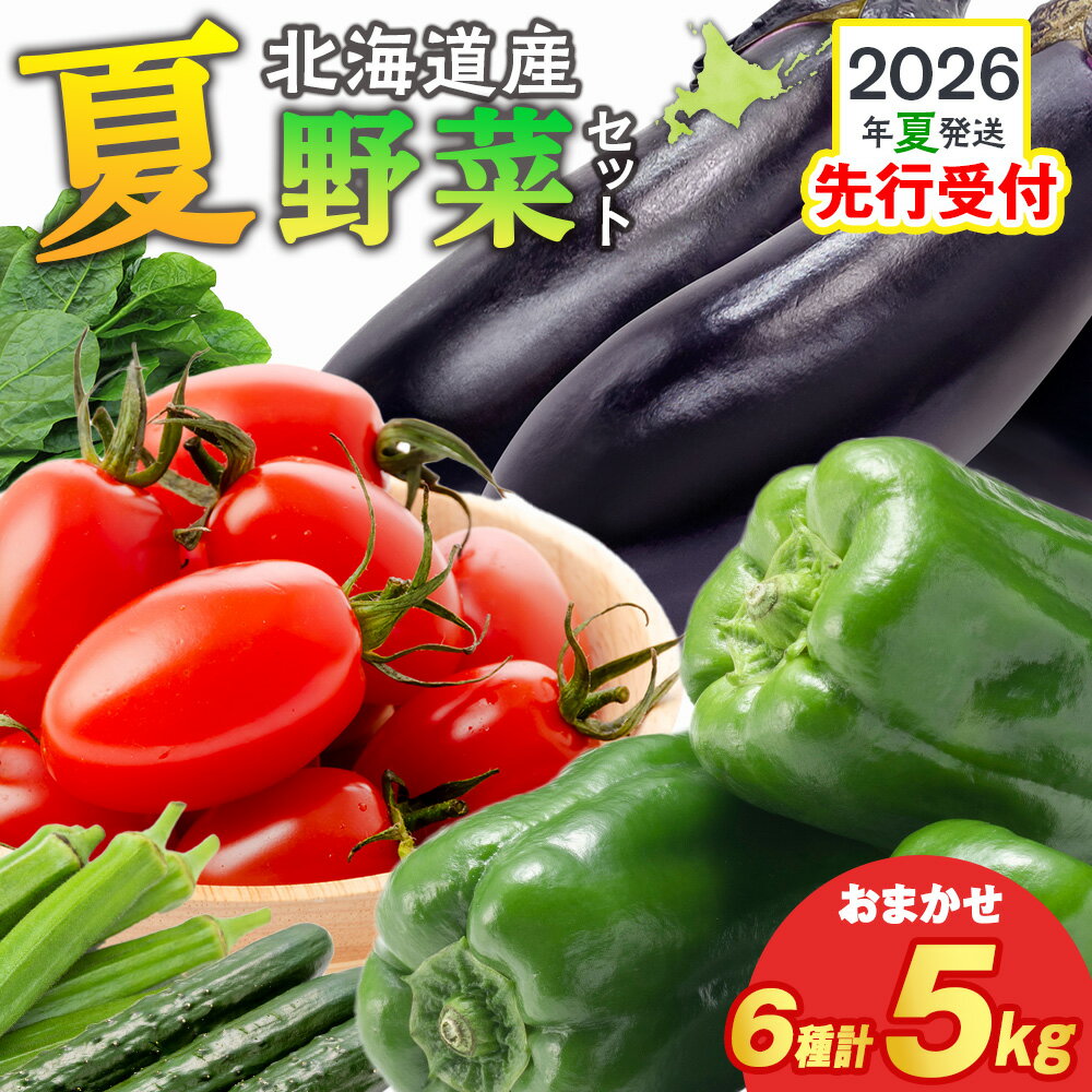 【ふるさと納税】【2026年夏発送】秋山農園のおすすめ夏野菜セット5kg 5種 野菜詰め合わせお楽しみ ランダム お任せ 旬野菜 北海道ふる..