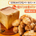 【ふるさと納税】北海道 パン 2種 詰合せ 塩パン 40個 食パン 2斤 北海道産 小麦 トースト 手作り 自家製 焼きたて ベーカリー 朝食 朝ごはん 軽食 ...