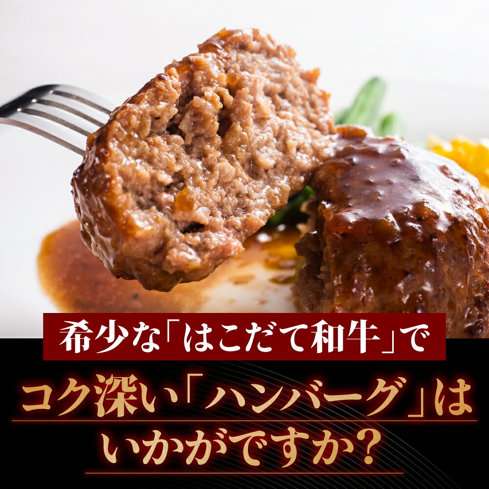 【ふるさと納税】定期便 2ヵ月連続2回 はこだて和牛 ひき肉 400g×4袋 計3.2kg 北海道 和牛 肉 ビーフ 赤身 ネック スネ ウデ 国産 味付き 冷凍 お取り寄せ ギフト ご当地 久上工藤商店 牛肉 お肉 ハンバーグ はこだて和牛 挽肉 あか牛 2ヶ月 2回 f013340-kikonai-10000187 北海道木古内町 サンプル画像2