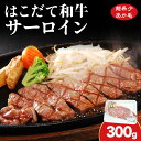 【ふるさと納税】北海道 はこだて和牛 サーロイン 300g 和牛 あか牛 お肉 牛肉 肉 ビーフ 赤身 霜降り 国産 焼肉 焼き肉 ステーキ BBQ バーベキュ...
