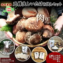 【ふるさと納税】【2025年11月より発送】王様しいたけお試しセット 福田農園 【 しいたけ 生しいたけ シイタケ 椎茸 干ししいたけ パウダー オーガニック ジューシー 肉厚 ステーキ 鍋 煮物 年越し 新年 年賀 おせち お餅 雑煮 手土産 送料無料 】 NAT005