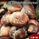 【ふるさと納税】【2025年11月より発送】王様しいたけバラエティセット(6種7個)福田農園 【 しいたけ 生しいたけ シイタケ 椎茸 オーガニック ジューシー 肉厚 ステーキ 鍋 煮物 セット 年越し 新年 年賀 おせち お餅 雑煮 手土産 贈答 送料無料 】 NAT003