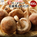 【ふるさと納税】オーガニック王様生しいたけギフト 肉厚ジューシー 福田農園 【 しいたけ 生しいたけ シイタケ 椎茸 オーガニック ジューシー 肉厚 ステーキ 鍋 煮物 年越し 新年 年賀 おせち お餅 雑煮 手土産 贈答 送料無料 】 NAT001