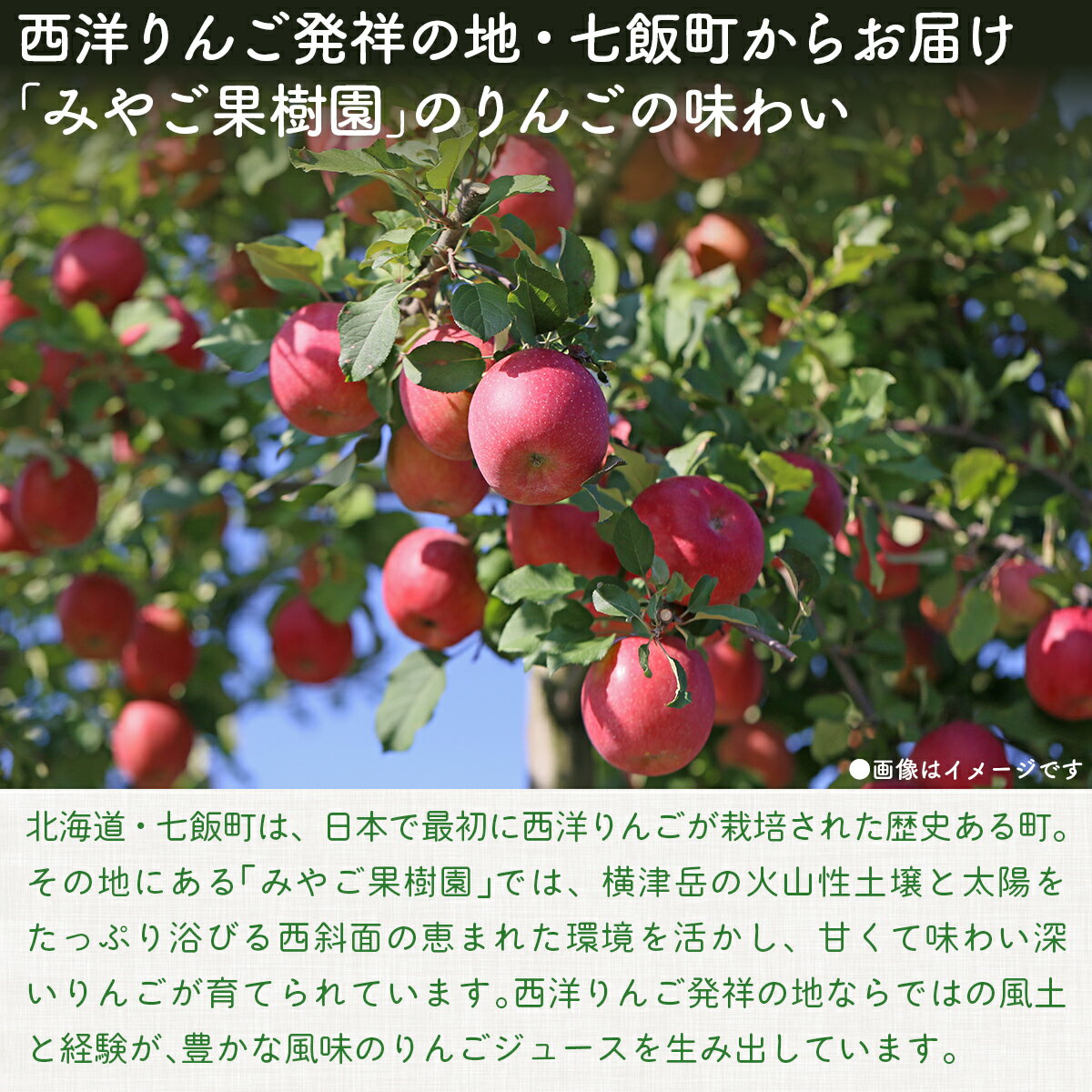 【ふるさと納税】【先行予約2025年10月以降発送】 無添加 りんご果汁100% 1L×6本セット りんごジュース ストレート果汁 無添加 りんご 七飯町 りんごジュース アップル 果汁 100% セット プレゼント NAJ001