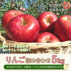 【ふるさと納税】【先行予約】北海道七飯町産 りんご 5kg 有機質肥料使用 北海道七飯町 りんご 減農薬 有機質肥料 健康 オーガニック 美容 NAR002