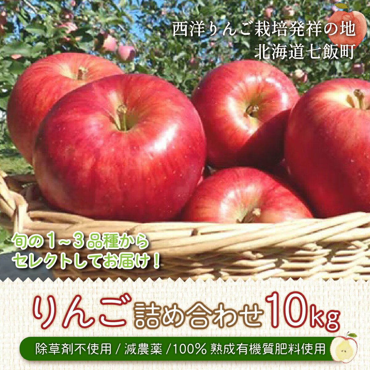 11位! 口コミ数「1件」評価「5」【先行予約】北海道七飯町産 りんご 10kg 有機質肥料使用 北海道七飯町 りんご 減農薬 有機質肥料 健康 オーガニック 美容 NAR00･･･ 