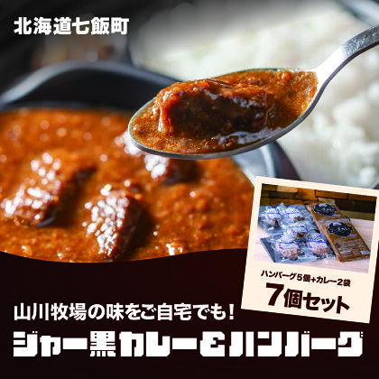 山川牧場育ちのジャー黒カレー&ハンバーグAセット（計7個） お手軽おかず 山川牧場 ジャー黒 ジャージー牛 黒毛和牛 希少 ハンバーグ カレー レトルト おかず 手軽 NAN001