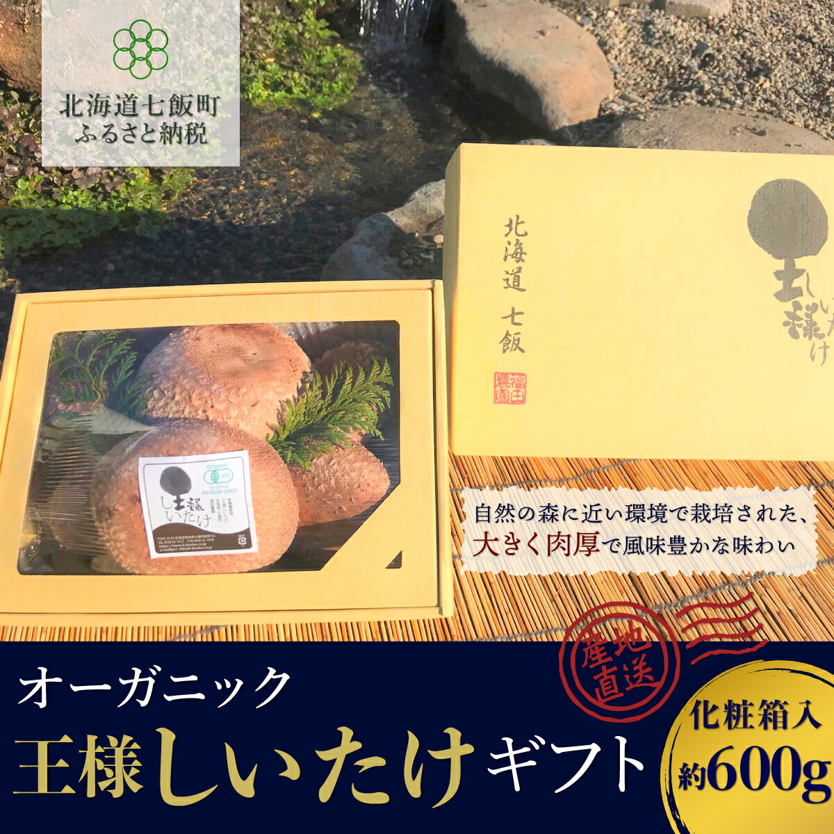 [先行予約]2023年10月以降発送 オーガニック王様生しいたけギフト 肉厚ジューシー 福田農園 しいたけ 生しいたけ シイタケ 椎茸 オーガニック ジューシー 肉厚 ステーキ 鍋 煮物 年越し 新年 年賀 おせち お餅 雑煮 手土産 贈答 送料無料