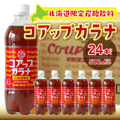 楽天ふるさと納税　【ふるさと納税】 コアップガラナ24本セット（500mlペットボトル） ふるさと納税 コアップガラナ ガラナ 500ml×24本入 ペットボトル 24本 NAQ003