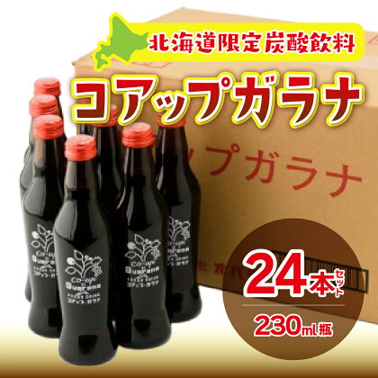 コアップガラナ24本セット（230ml瓶） ふるさと納税 コアップガラナ ガラナ 230ml×24本入 瓶 24本 NAQ004