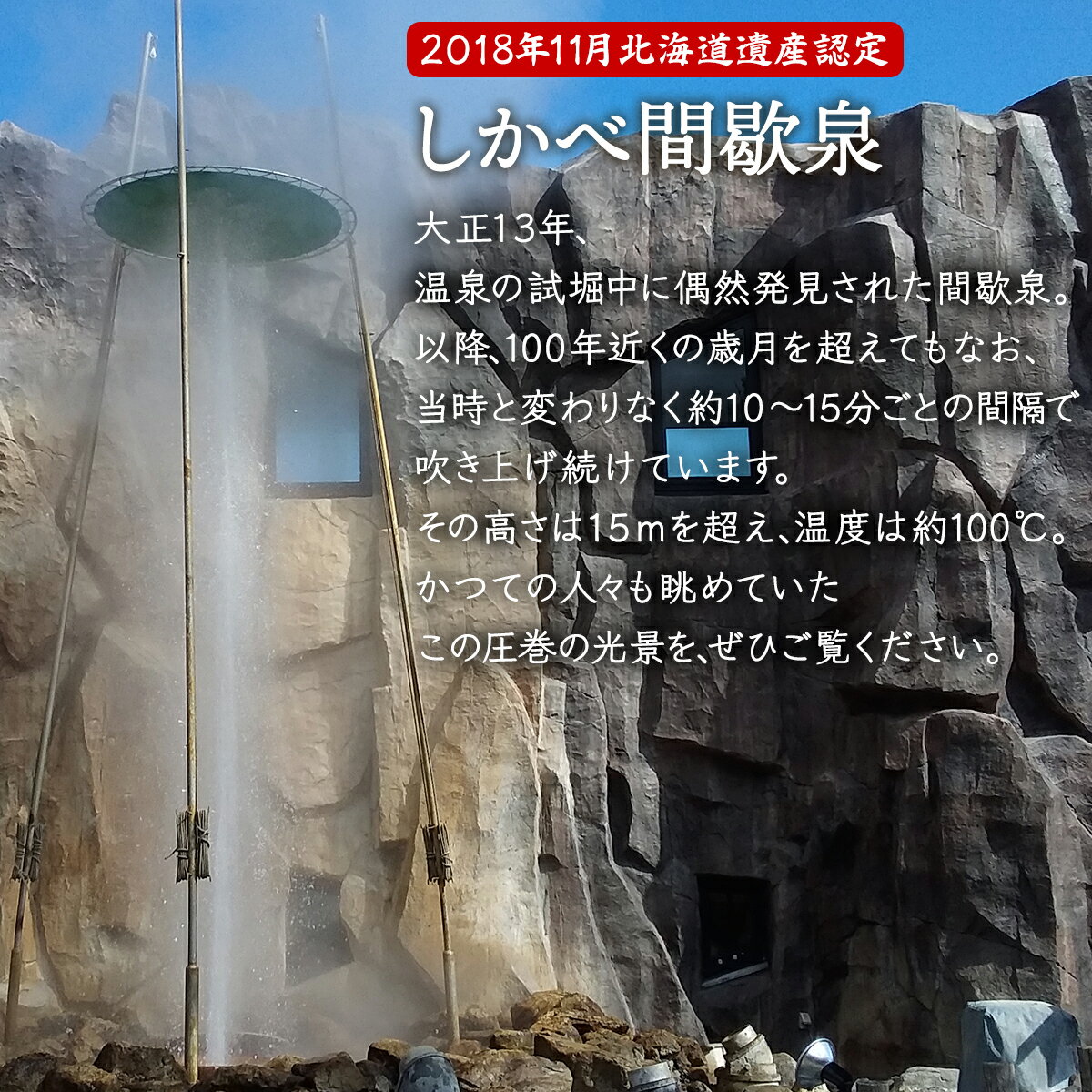 【ふるさと納税】道の駅しかべ間歇泉公園入園券 3名様分 チケット 入場券 観光 スポット 足湯 温泉 北海道遺産