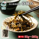 【ふるさと納税】【選べる内容量】昆布 北海道産 白口浜真昆布 春摘み 50g〜250g 昆布巻き 結び昆布 煮物 酢の物 結び 油炒め 柔らかい 調味料 海藻 ...