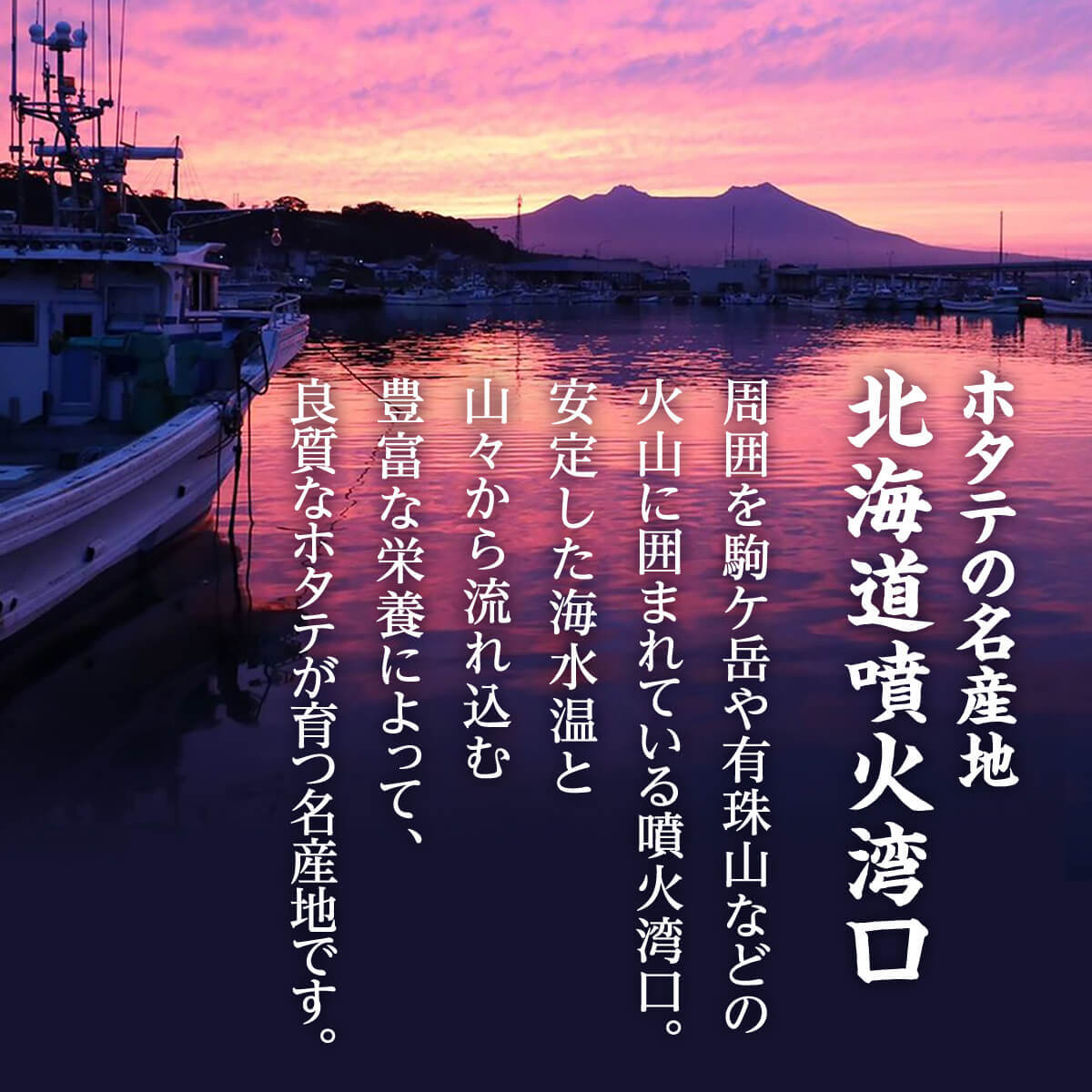 【ふるさと納税】【緊急支援品】ホタテ 事業者支援 中国禁輸措置 北海道産 ホタテ尽くしセット お刺身用 ほたて貝柱 300g ボイルベビーホタテ SSサイズ 1kg ホタテハーフシェル 片貝 10枚 （650g) 玉冷 食べ比べ 詰め合わせ 生食用 ウロ取り済み 刺身 冷凍 帆立 送料無料