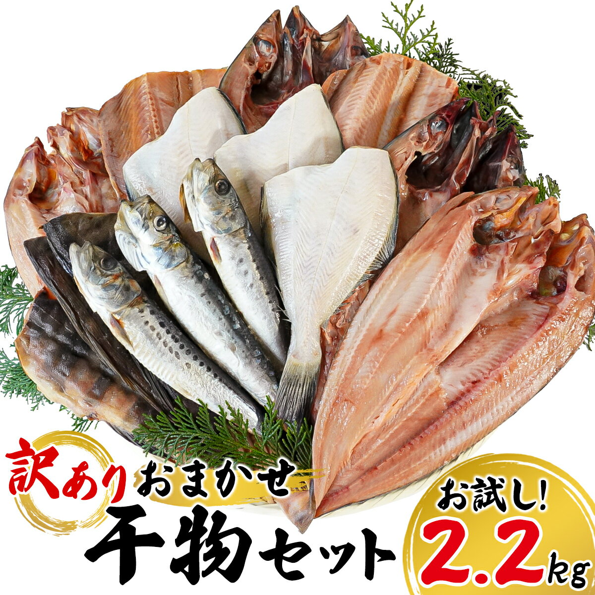 【ふるさと納税】【お試し】干物 訳あり 詰め合わせ 2.2kg 規格外 北海道 不揃い 傷 個包装 セット 魚 冷凍 ホッケ サバ カレイ イワシ 小分け ご飯のお供 おつまみ 贈り物 父の日 魚介類 送料無料