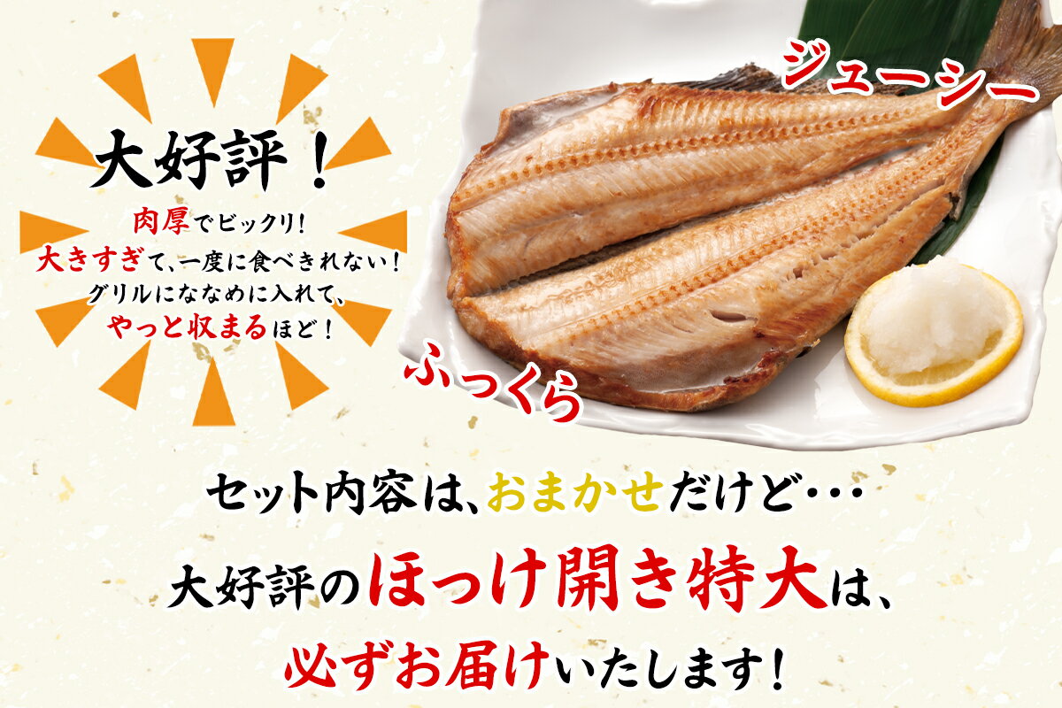 【ふるさと納税】干物 訳あり 詰め合わせ 3.5kg以上 規格外 不揃い 傷 個包装 セット 魚 冷凍 ホッケ サバ カレイ イワシ 小分け ご飯のお供 おつまみ お中元 贈り物 発送時期が選べる 魚介類 送料無料