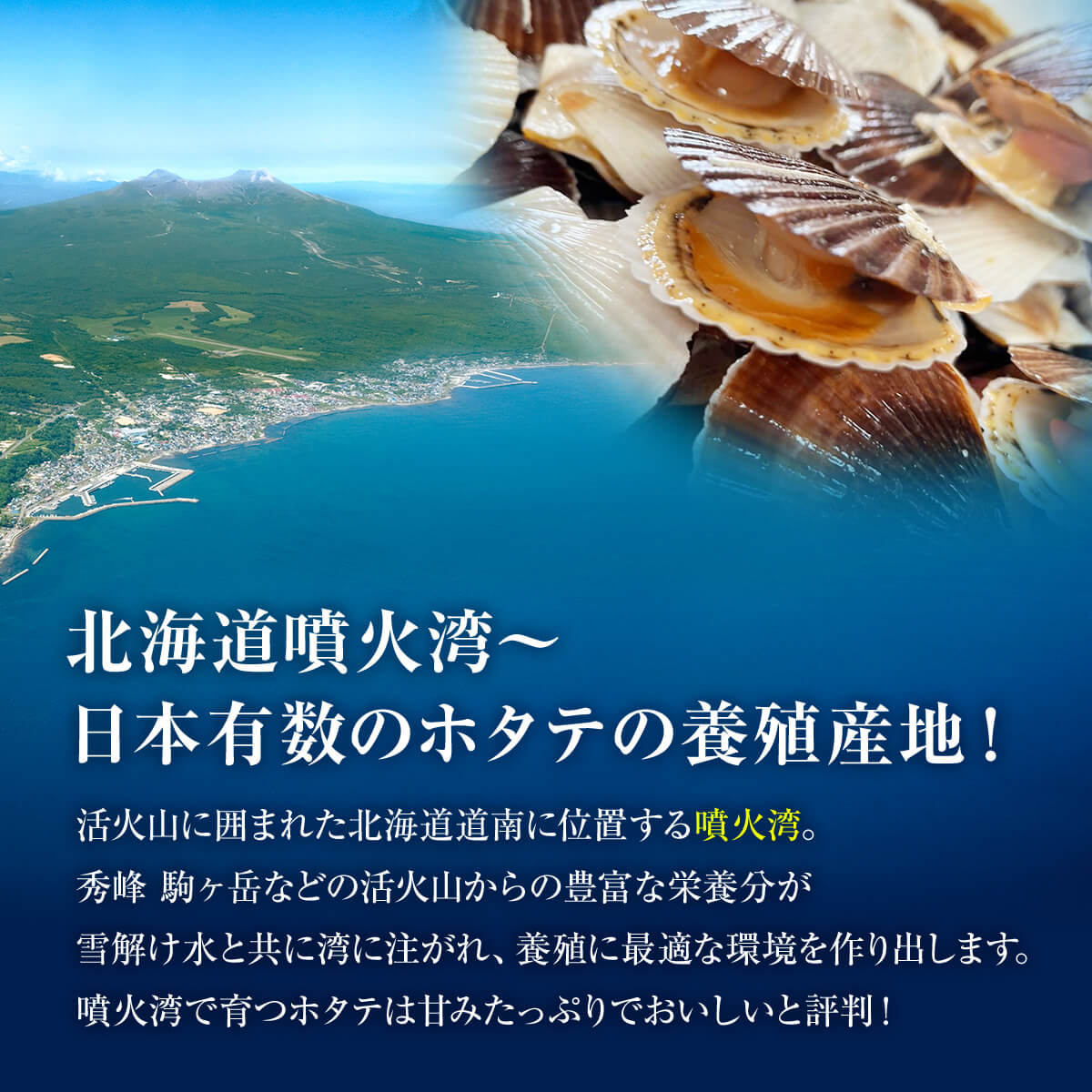 【ふるさと納税】【緊急支援品】ホタテ 事業者支援 中国禁輸措置 北海道 ベビーホタテ Sサイズ 2kg（1kg×2袋 ）ボイル ベビーホタテ 貝 生食 サラダ 炒め物 ほたてごはん カレー シチュー 噴火湾 送料無料