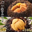 【ふるさと納税】【選べるセット内容】ウニ 塩ウニセット 計 240g 北海道産 ムラサキウニ バフンウニ 塩ウニ 塩蔵うに ミョウバン不使用 ごはんのお供 うに...