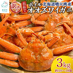 【ふるさと納税】 北海道産 訳あり ボイルオオズワイガニ 3kg 約10〜18尾 浜茹で 塩茹で 生産者応援 北海道噴火湾産 海鮮 かに 蟹 ずわい蟹 カニ鍋 カニ雑炊 カニ炒飯 送料無料