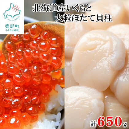 北海道産 いくら 100g×4 大粒 ほたて貝柱 250g 計650g ホタテ 小分け 食べ切り ご飯のお供 おつまみ 海鮮丼 刺身 バター焼き セット 魚卵 魚介 魚介類 丸鮮道場水産 冷凍 送料無料