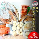 【ふるさと納税】訳あり 贅沢 豪華 おまかせ 海鮮セット 3kg 規格外 不揃い キズ 切り落とし ほたて 明太子 いか 魚介 魚介類 厳選 詰め合わせ SDG...