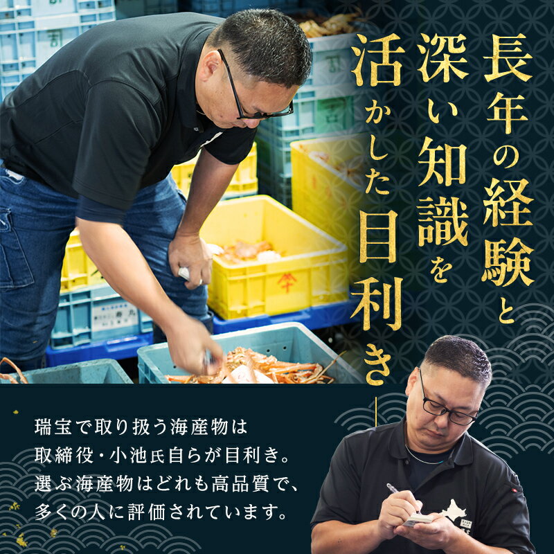 【ふるさと納税】【森町銘産】いかめし醤油味 2尾入り×5袋 イカ 烏賊 魚介 海産物 海鮮 食品 北海道 森町 mr1-0737