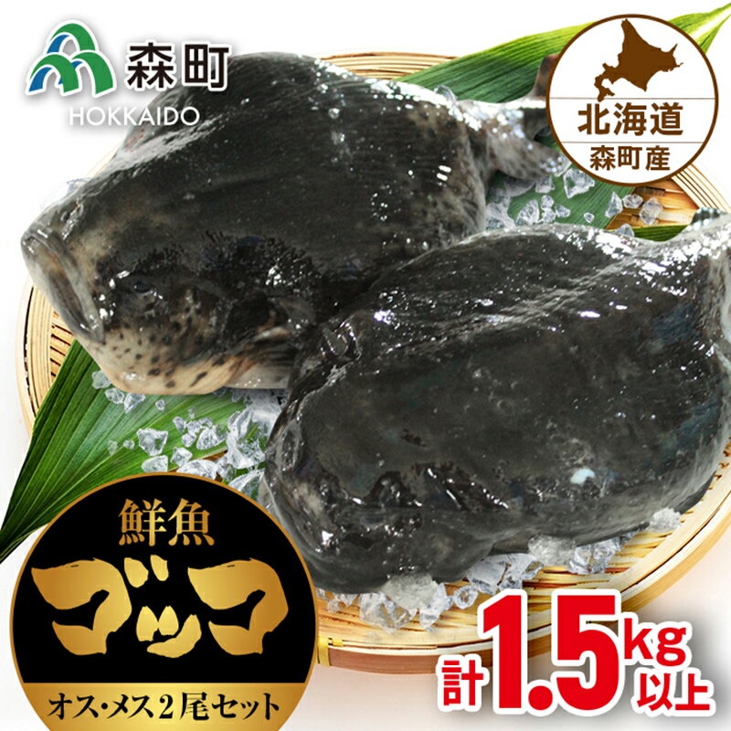 【ふるさと納税】北海道森町産鮮魚「ゴッコ（布袋魚）」オスメス 2尾セット （23年1月中旬以降出荷） 森町 ゴッコ 布袋魚 ごっこ 魚 ホテイウオ 海産物 魚介類 汁物 鍋 ふるさと納税 北海道 mr1-0003のサムネイル