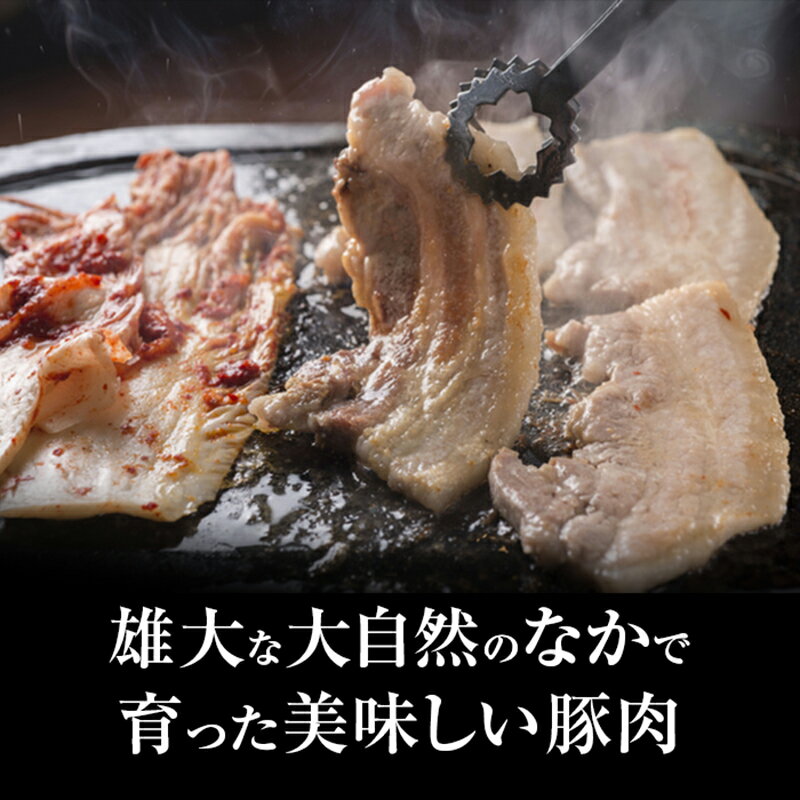 【ふるさと納税】『定期便』森町駒ヶ岳ポーク焼肉セット(900g)全2回＜道産ネットミツハシ＞ 森町 豚肉 ロース バラ 焼肉 セット ふるさと納税 北海道 mr1-0024