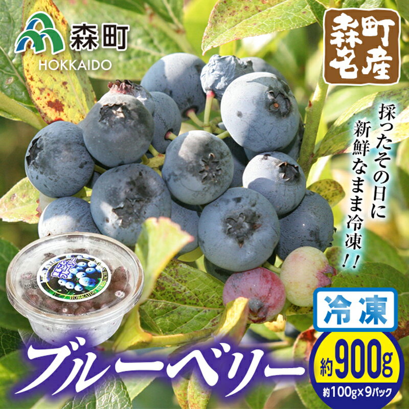 森町名産ブルーベリー約100g×9パック(冷凍)[物産館運営振興会] 森町 果物 フルーツ ベリー ブルーベリー パック ふるさと納税 北海道 mr1-0468