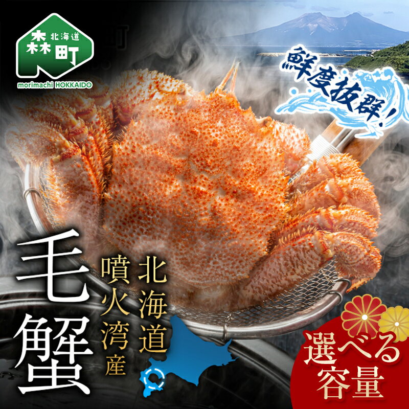 【ふるさと納税】【先行予約】北海