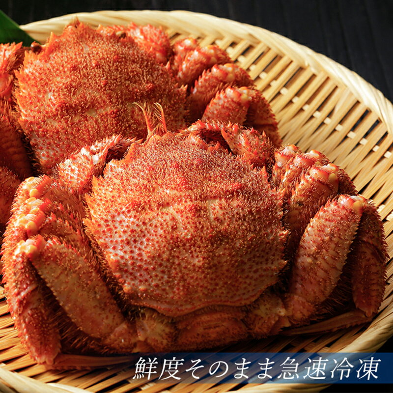 【ふるさと納税】北海道産 冷凍ボイル毛がに 300g前後×2尾＜海鮮問屋　株式会社　瑞宝＞ かに カニ 蟹 ガニ がに 森町 ふるさと納税 北海道 毛蟹 毛かに 毛ガニ 毛カニ mr1-0953