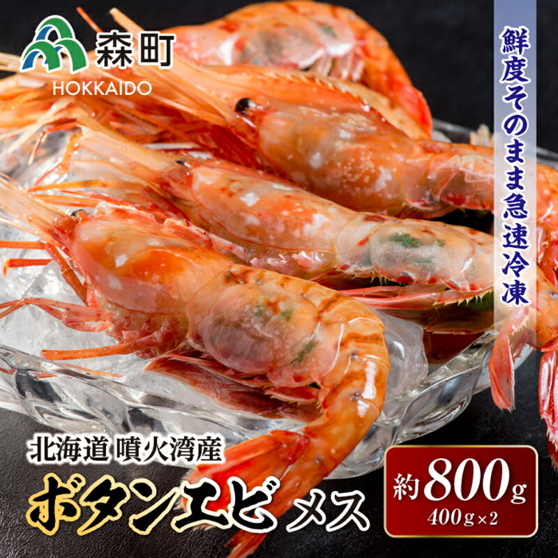 【ふるさと納税】北海道噴火湾産ボタンエビメス400g×2＜森水産加工業協同組合＞ えび エビ 海老 ぼたんえび ぼたん海老 ボタン海老 ボタンエビ ぼたんエビ ボタンえび 森町 北海道 mr1-0119のサムネイル