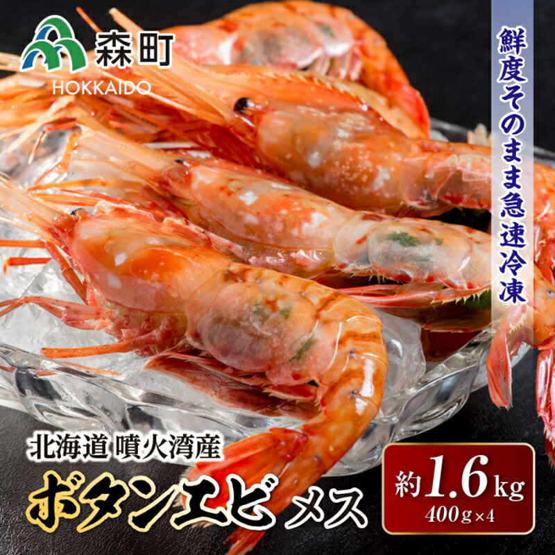 【ふるさと納税】北海道噴火湾産ボタンエビメス400g×4＜森水産加工業協同組合＞ えび エビ 海老 ぼたんえび ぼたん海老 ボタン海老 ボタンエビ ぼたんエビ ボタンえび 牡丹海老 森町 北海道 mr1-0120のサムネイル