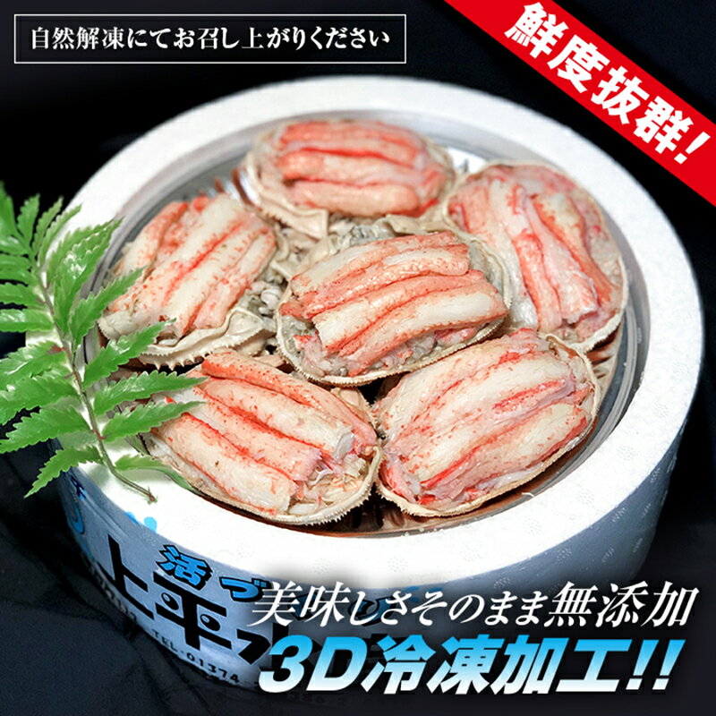 【ふるさと納税】【北海道森町産】ずわい蟹甲羅盛(約70g×6個入)＜上平水産＞ かに カニ 蟹 ガニ がに ズワイカニ ズワイ蟹 ズワイカニ ズワイガニ 森町 ふるさと納税 北海道 甲羅盛り mr1-0133