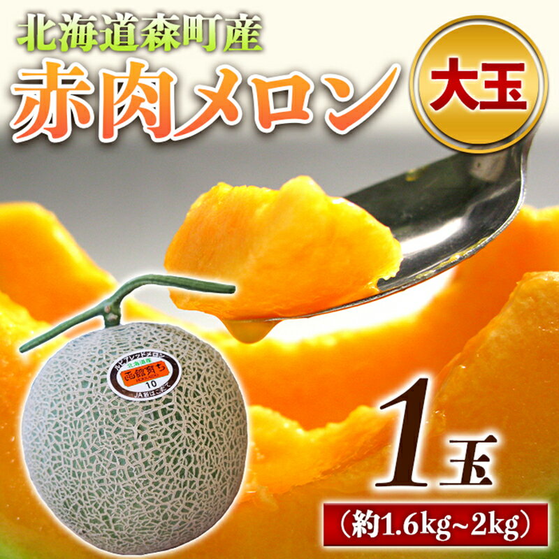 [先行予約]赤肉メロン大玉 1玉(約1.6〜2kg)北海道 森町産 24年6月上旬〜8月上旬頃順次発送[道産ネットミツハシ] 森町 メロン レッドメロン 果物 赤肉 北海道産 北海道 mr1-0143