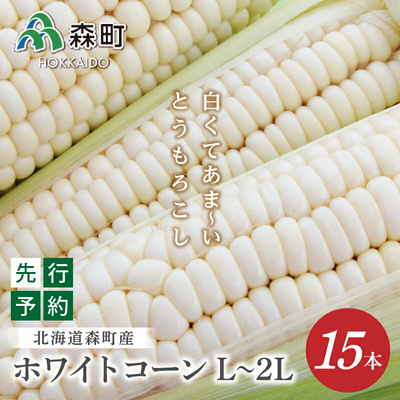 15本 白い とうもろこし ホワイトコーン L～2L（2024年7月下旬～9月中旬までに順次お届け） 北海道産 森町産 トウモロコシ コーン とうきび トウキビ 唐黍 野菜 やさい たっぷり 甘い 朝もぎ 期間限定 故郷納税 mr1-0144