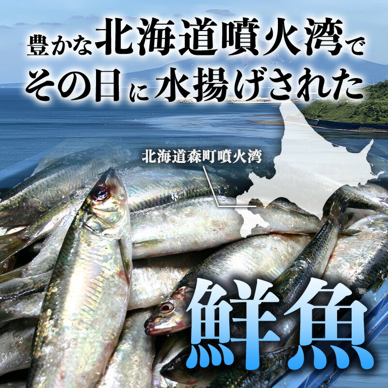 【ふるさと納税】北海道森町産 噴火湾とれたて鮮魚福袋4kg以上 アブラコ（アイナメ） カレイ類 カジカ ソイ ガヤ ニシン ハタハタ フクラゲ サヨリ 鮮魚 海鮮 焼き魚 煮付け 鍋 北海道 森町 mr1-0149