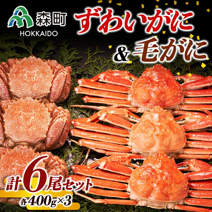 【ふるさと納税】【9月30日受付終了】ずわいがに・毛がに計6尾セット（各400g×3） ＜株式会社 鳥潟＞ かに カニ 蟹 ガニ がに 森町 ふるさと納税 北海道 毛蟹 毛かに 毛ガニ 毛カニ 北海道 ズワイカニ ズワイ蟹 ズワイガニ 食べ比べ F4C-0292のサムネイル