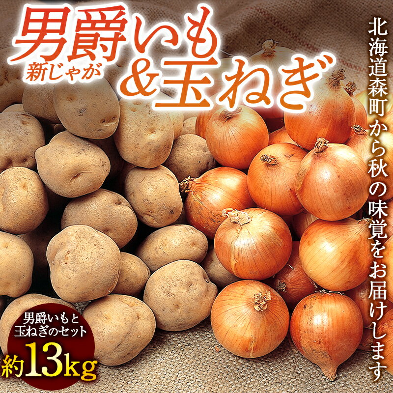 【ふるさと納税】【先行予約】【新じゃが】男爵（約8kg）＆玉ねぎ（約5kg）セット 計13kg （2023年8月下旬～順次お届け） 野菜 ジャガイモ じゃがいも ポテト たまねぎ タマネギ 玉葱 北海道 F4C-0298のサムネイル