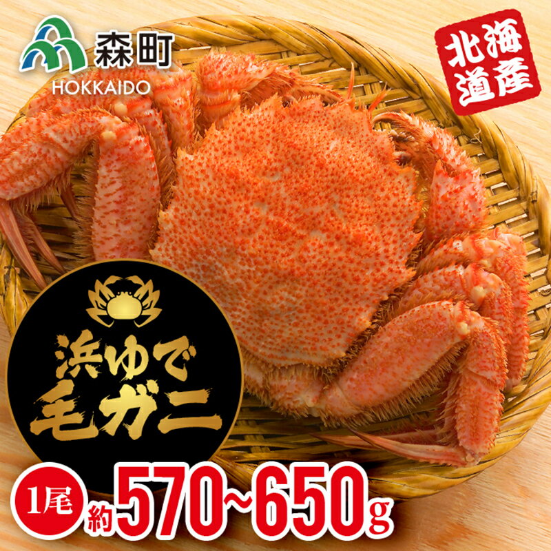 【ふるさと納税】【北海道産】 浜ゆで毛ガニ×1尾＜道産ネットミツハシ＞ かに カニ 蟹 ガニ がに 森町 ふるさと納税 北海道 毛蟹 毛かに 毛ガニ 毛カニ F4C-0395のサムネイル