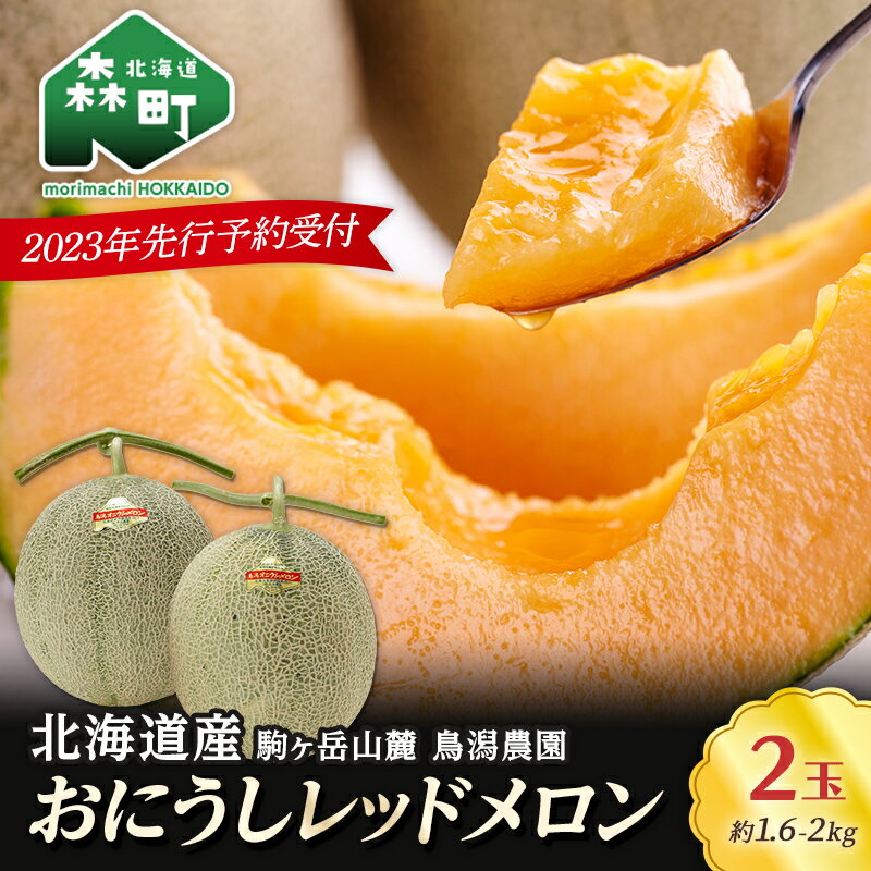 【ふるさと納税】★今季出荷分受付中★おにうしレッドメロン約1.6kgー2kg×2玉 《鳥潟農園》森町 赤肉 メロン 果物 レッドメロン 北海道産 ふるさと納税 北海道 F4C-0409のサムネイル