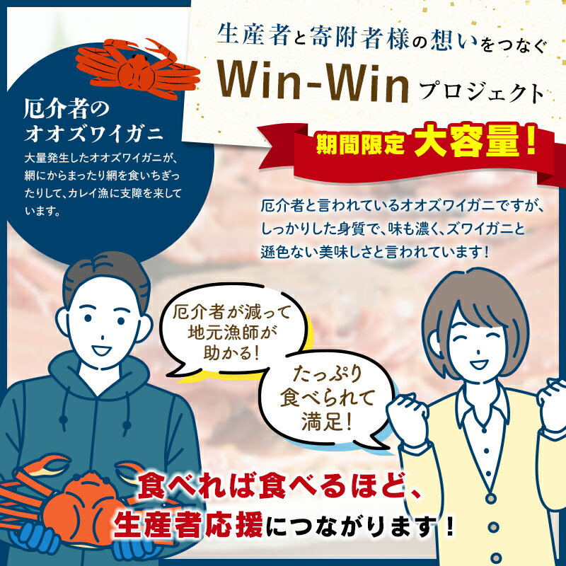 【ふるさと納税】【訳あり】北海道噴火湾産 活オオズワイガニ1.5～3kg＜道産ネットミツハシ＞ 生産者応援 かに 蟹 ずわい蟹 北海道産 鍋 かにすき かにしゃぶ 海鮮 わけあり ご自宅用 mr1-0352