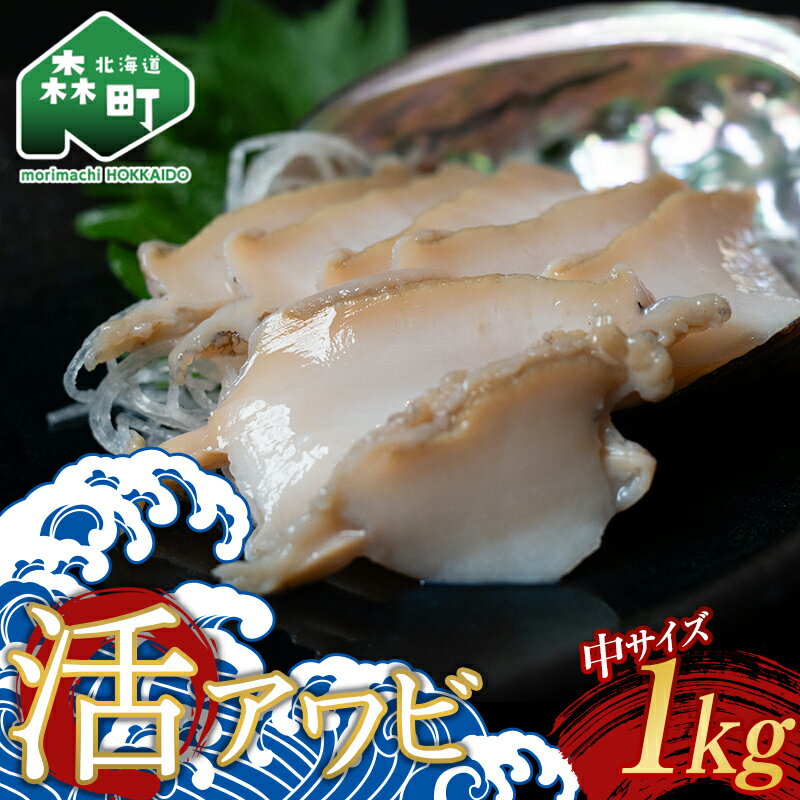 【ふるさと納税】 活アワビ （中サイズ） 北海道噴火湾産 1kg（2023年11月～12月末までに発送）＜物産館運営振興会((株)ハマグチ)＞ あわび 鮑 アワビ 海産物 魚貝類 ふるさと納税 北海道 森町 mr1-0295のサムネイル