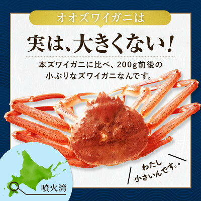 【ふるさと納税】【選べる容量・配送月】【訳あり】北海道噴火湾産 活オオズワイガニ 1.5~3kg 10000円 12000円 <道産ネットミツハシ> 配送時期が選べる 生産者応援 かに カニ 蟹 ずわい蟹 北海道産 鍋 かにすき かにしゃぶ 海鮮 わけあり ご自宅用 mr1-0352 - Image 3