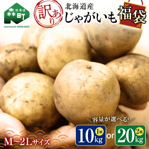 【ふるさと納税】<発送時期/容量が選べる>【訳あり】北海道森町産 じゃがいも福袋 10kg or 20kg 【順次発送】2025年11月~12月発送 【先行予約】2026年8月上旬から順次発送 野菜 ジャガイモ きたあかり だんしゃく 男爵 とうや メークイン ポテト 北海道 mr1-0508